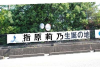 48akb_1256.JPG