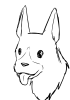 犬.png