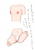 参考にどうぞ.png