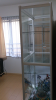CACE_01_481.jpg