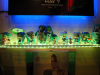 CACE_01_629.JPG