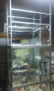 CACE_01_753.JPG