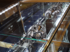 CASE_CACE_CACE_573.JPG