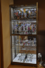 CASE_CACE_CACE_62.jpg