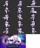 aurora.jpg