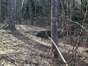 2013-04-14 14.16.42.jpg