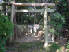P1000547.JPG
