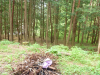 P1020158.JPG