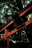 hakureiImage.png