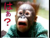 PicsArt_04-03-09.03.40.png