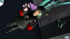 pso20150512_140236_002.png