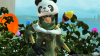 pso20151127_154611_002.png