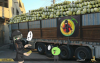 メロン山積み - Pile of Melons (262).png