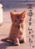 201209013000044.jpg