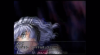 GIF.gif