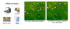 Automatic Mario Sequencer Tutorial.jpg