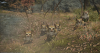 ffxiv_20140524_185137.png