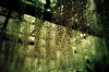 Xperia_home_99.jpg
