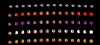 D092EBC6-F3AB-4472-A587-8A876C977C7D.png