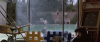 80d24793.gif