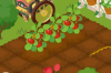 moccori_tomato.jpg