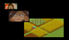 20130514_s.png