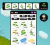 mint_01.JPG