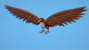 2018_1231_2313_09_969.png