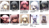 angel_beats_244.jpg