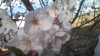 2019-04-01-161742.jpg