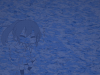 seyaro-.jpg