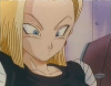 亀.gif