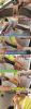 ちくきゅう.png