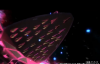 Screenshot_20250731-153958~2.png