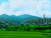 特定写真③.png