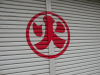 DSCN3721.JPG