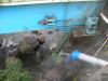 DSCN3715.JPG