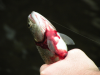 DSCN3748.JPG