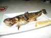 DSCN3767.JPG