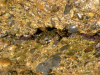 DSCN2962.JPG