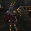 capcir_18.gif