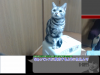 20141231_190938.651.png