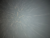 IMG_2226.jpeg