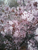 DSC_0006.JPG