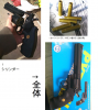 クラウンパイソン.jpg