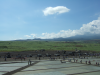 DSCF2449.JPG