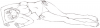 2014natu02-rough.jpg
