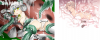 toress00.png