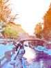 7975687249_b6abe93b01_oのコピー.png