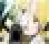 WS000407.JPG